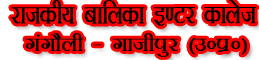 GOVERNMENT GIRLS INTER COLLEGE